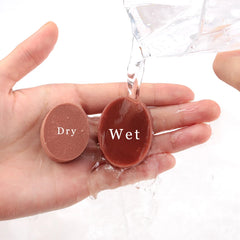 Wholesale make up sponge Makeup Foundation Sponge Makeup puff Powder Smooth Beauty Cosmetic make up sponge beauty tools Gifts