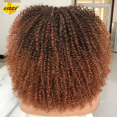 Short Afro Curly Wig With Bangs Synthetic African Glueless Fluffy Black Ombre Brown Curly Women's Wigs