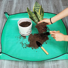 Repotting snake plant on a green waterproof gardening mat.