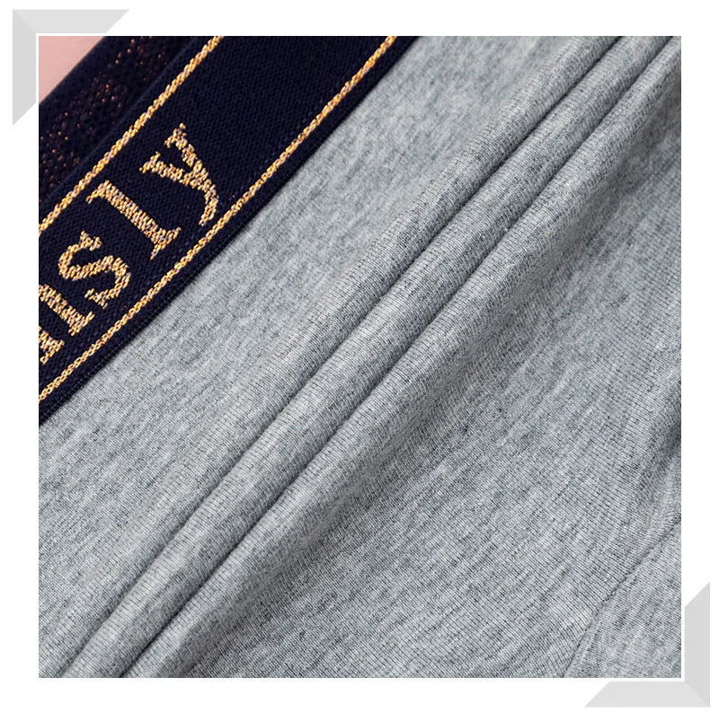 3Pcs/Set Women Boyshort Boxer Cotton White Underpant Elastic Big Size Panties Female Underwear Protective Shorts Under The Skirt