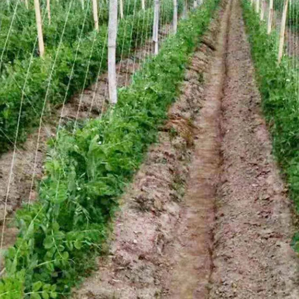 Nueva red de soporte para enrejado, red para trepar, malla de soporte para hortalizas de jardín, enrejado de polietileno, 2 mx 100 m, para pepinos trepadores