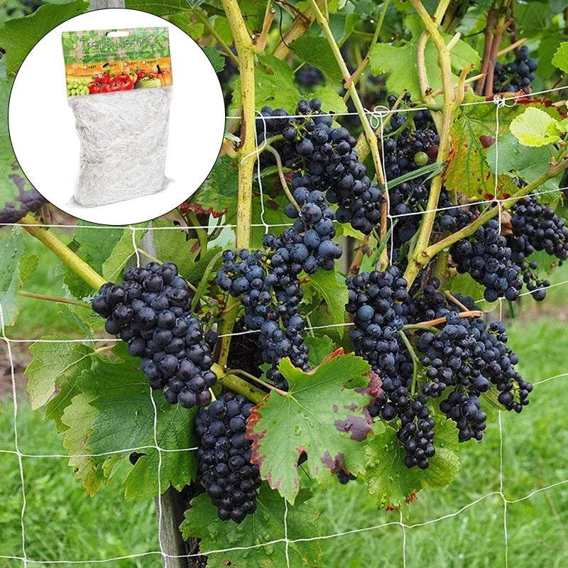 Red de trepado para plantas de jardín, soporte multiusos para plantas, red de enrejado, red de poliéster resistente, soporte para cultivo de flores, pepinos y vides