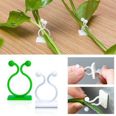 Gancho de hebilla fijo autoadhesivo para pared de plantas trepadoras, accesorio atado, gancho de hebilla para enredadera, clips para enredaderas trepadoras de pared para jardín