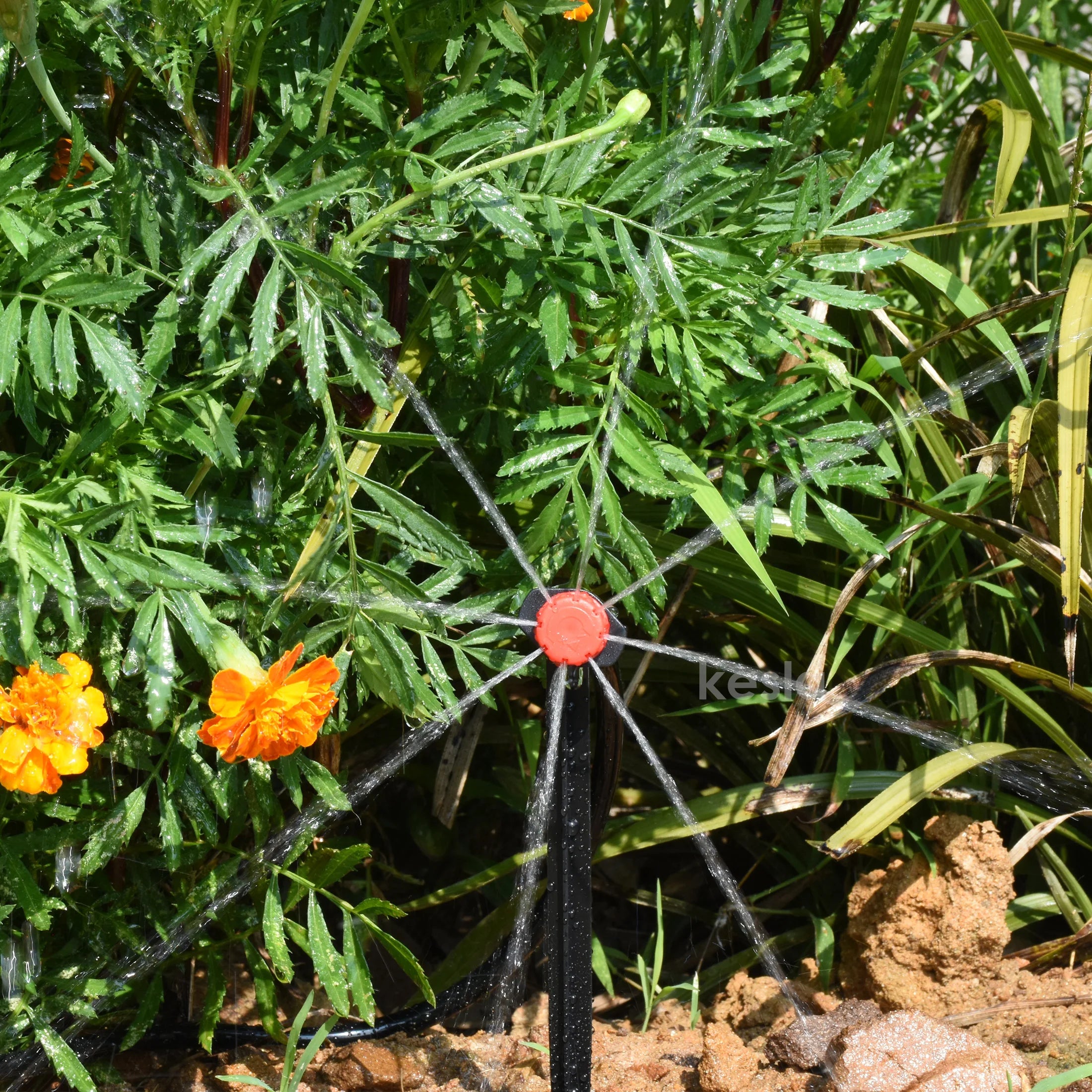 Boquilla de riego para jardín KESLA 30-1000x 4/7 mm, 1/4 de pulgada, ajustable, para riego por microgoteo, para balcón, patio, invernadero