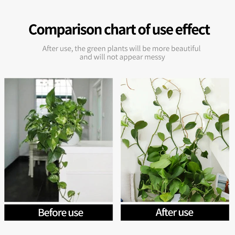 Gancho de hebilla fijo autoadhesivo para pared de plantas trepadoras, accesorio atado, gancho de hebilla para enredadera, clips para enredaderas trepadoras de pared para jardín